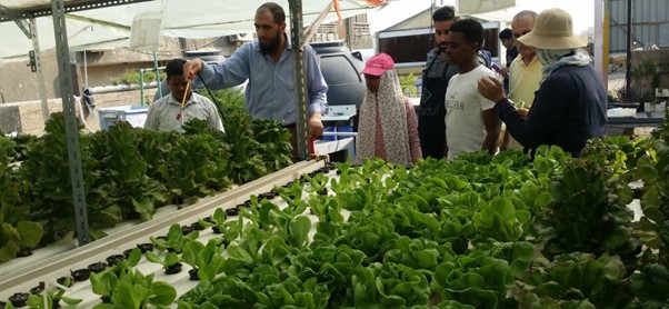 A green roof installed by a social enterprise