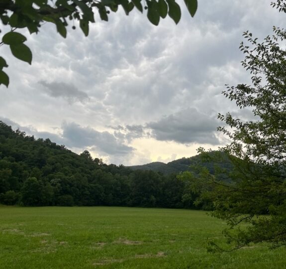 View of field and mountains from Vance parking lot. Plantations in the Appalachian South looked very different from plantations in other parts of the country.