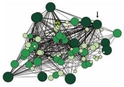 Image illustrating ways of showing the complexity of relationships between organisms in a forest environment on a conceptual level (Reference: Beiler et al, 2010) 